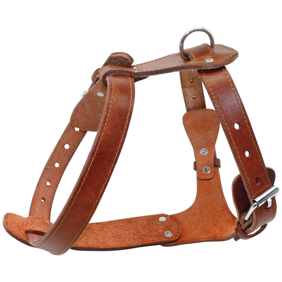 Large Pitbull Leather Dog Harness