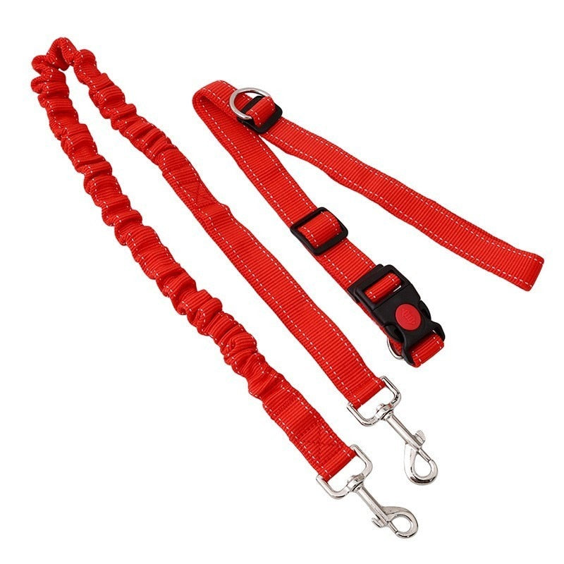 Strong Bungee Reflective Hands Free Dog Leash