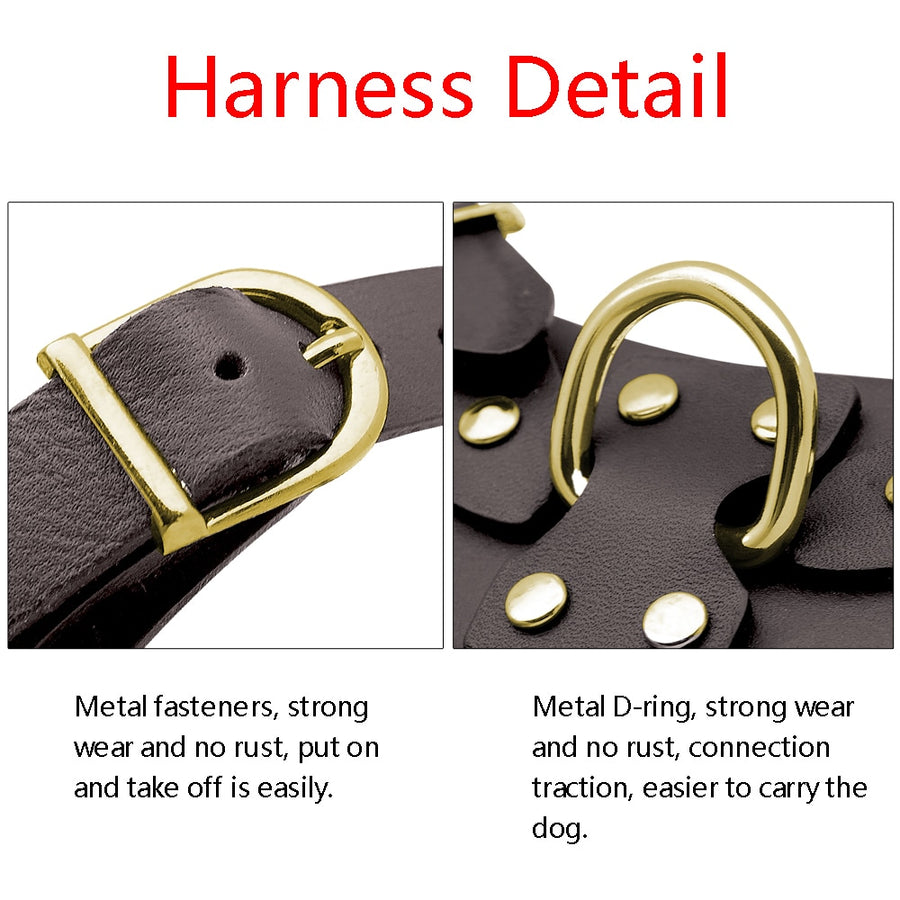 Genuine Leather Beagle Dog Harness