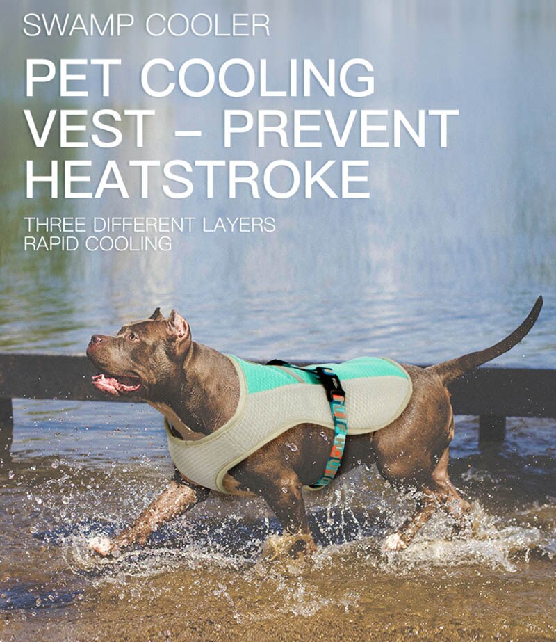 Summer Cooling Dog Harness