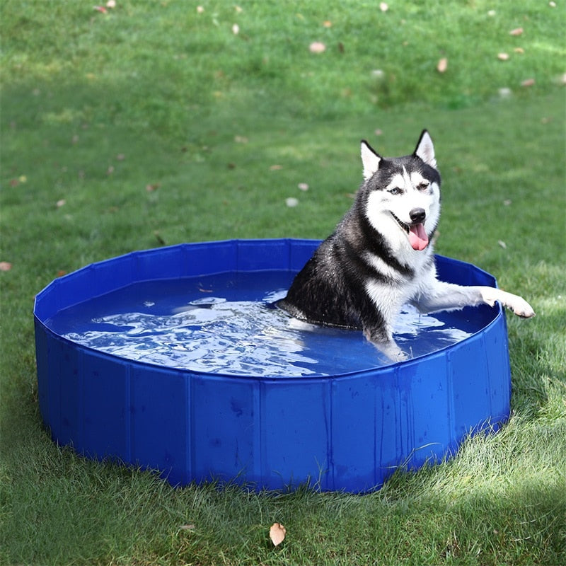 Foldable Pet Swimming Paddling Pool