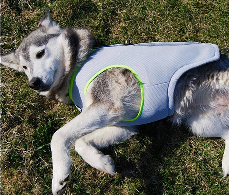 Summer Dog Cooling Vest And Harness