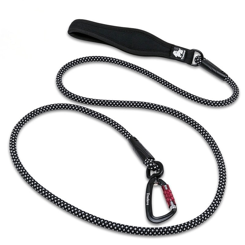 Reflective Aluminum Alloy D-Ring Dog Leash