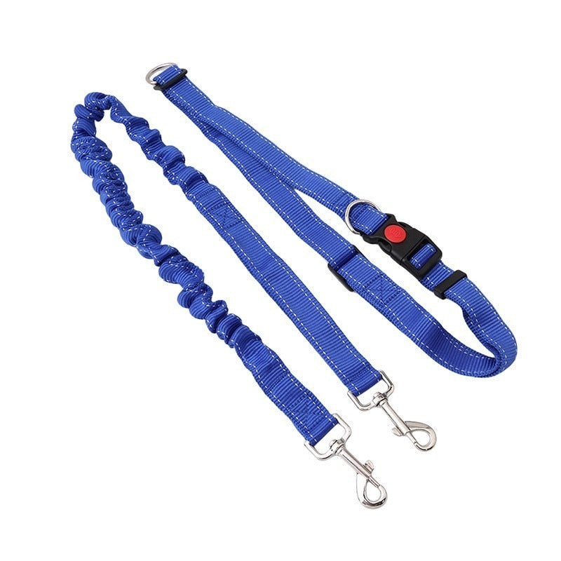 Strong Bungee Reflective Hands Free Dog Leash