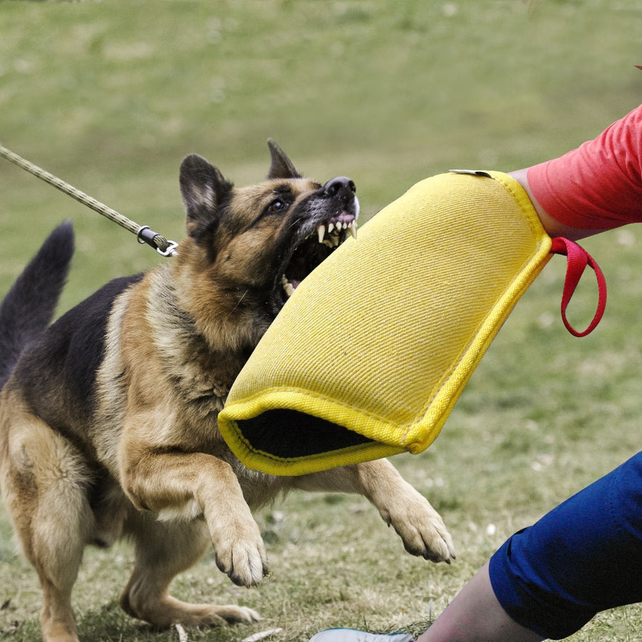 Dog Training Bite Sleeves Tug Toy