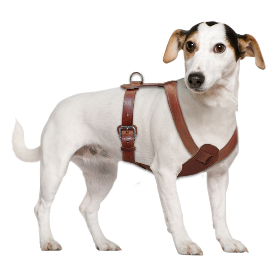 Large Pitbull Leather Dog Harness