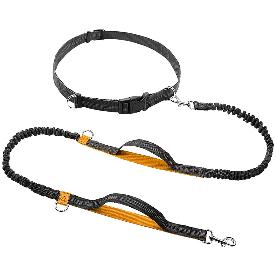 Nylon Hands Free Bungee Dog Leash