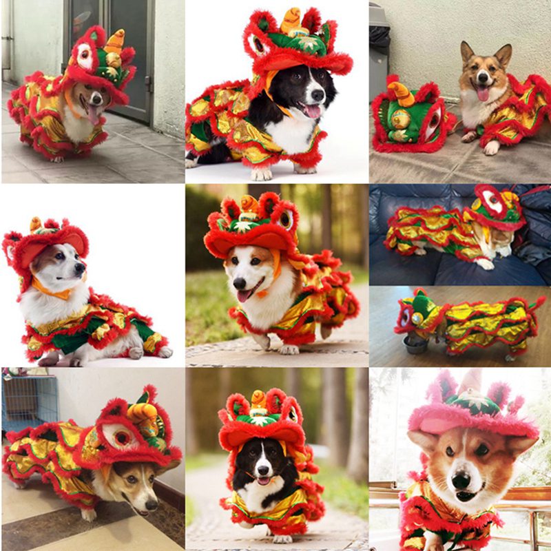 Funny Dog Dragon Dance Lion Costumes