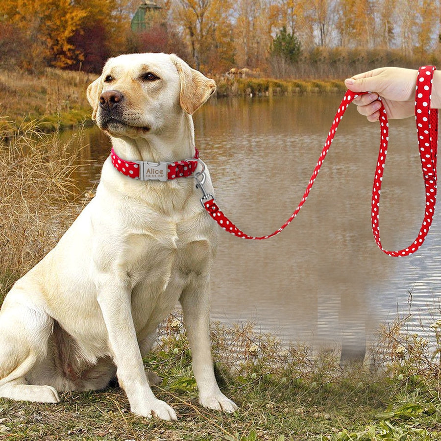 Polka Dot Dog Collar Set