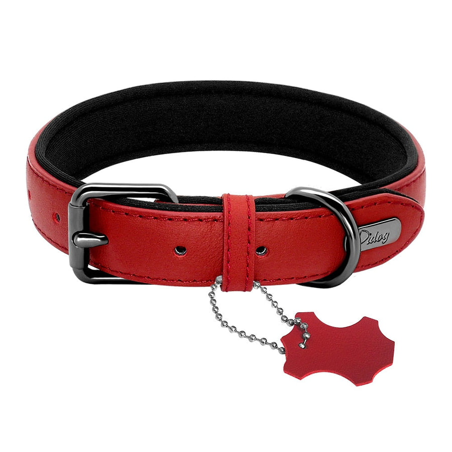 Exquisite Genuine Leather Dog Collar