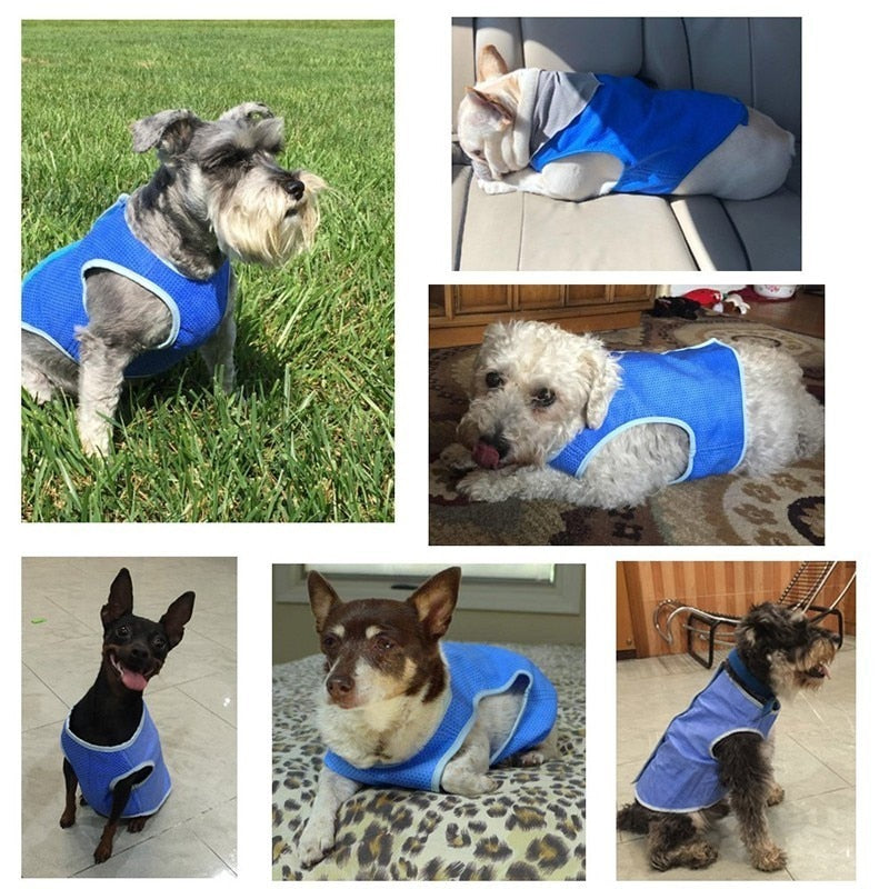 Summer Lightweight Cooling Dog Vest