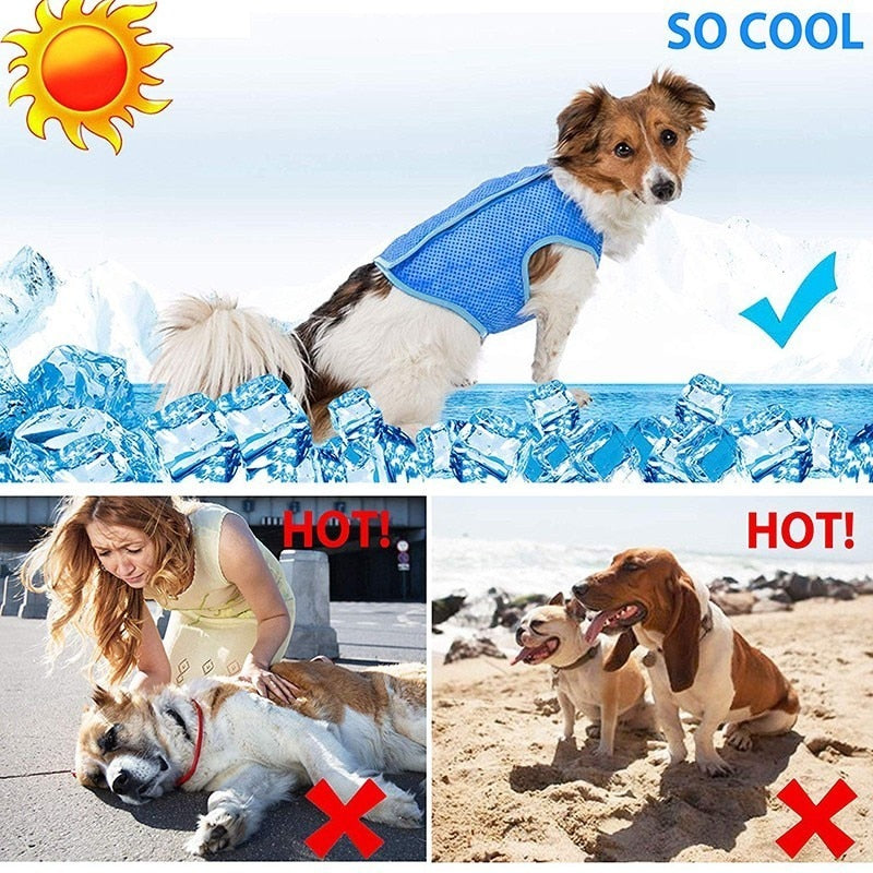 Summer Lightweight Cooling Dog Vest