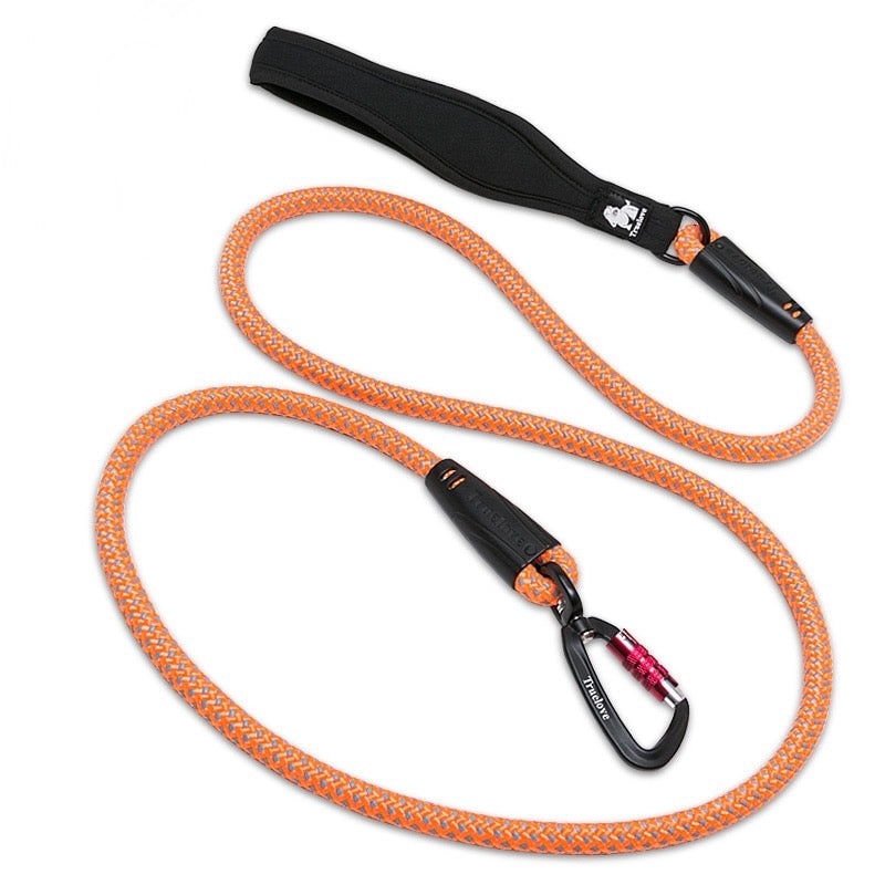 Reflective Aluminum Alloy D-Ring Dog Leash