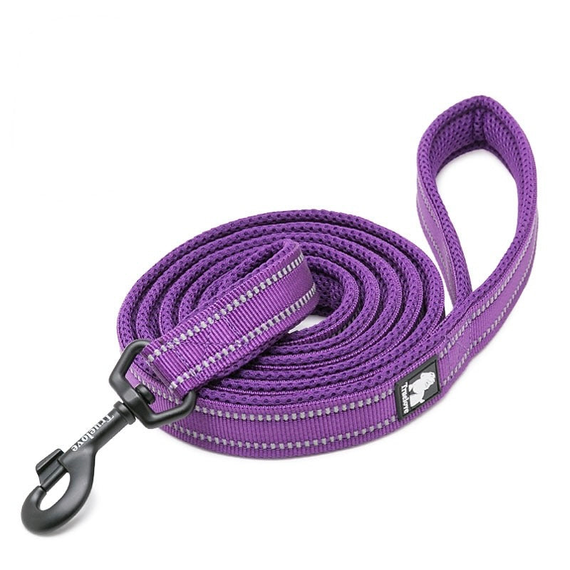 Reflective Nylon Soft Padded Dog Leash