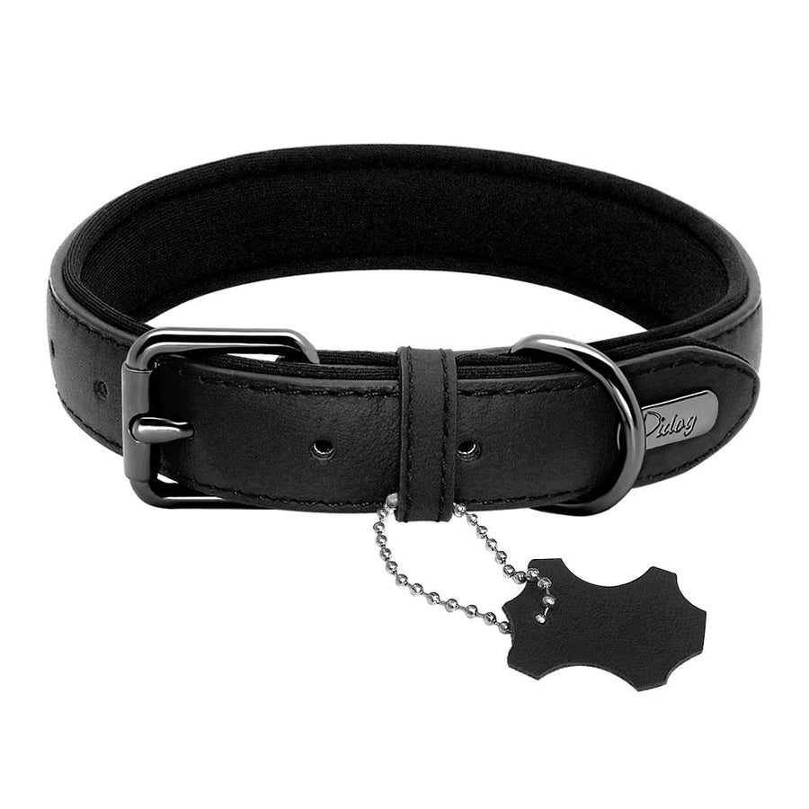 Exquisite Genuine Leather Dog Collar