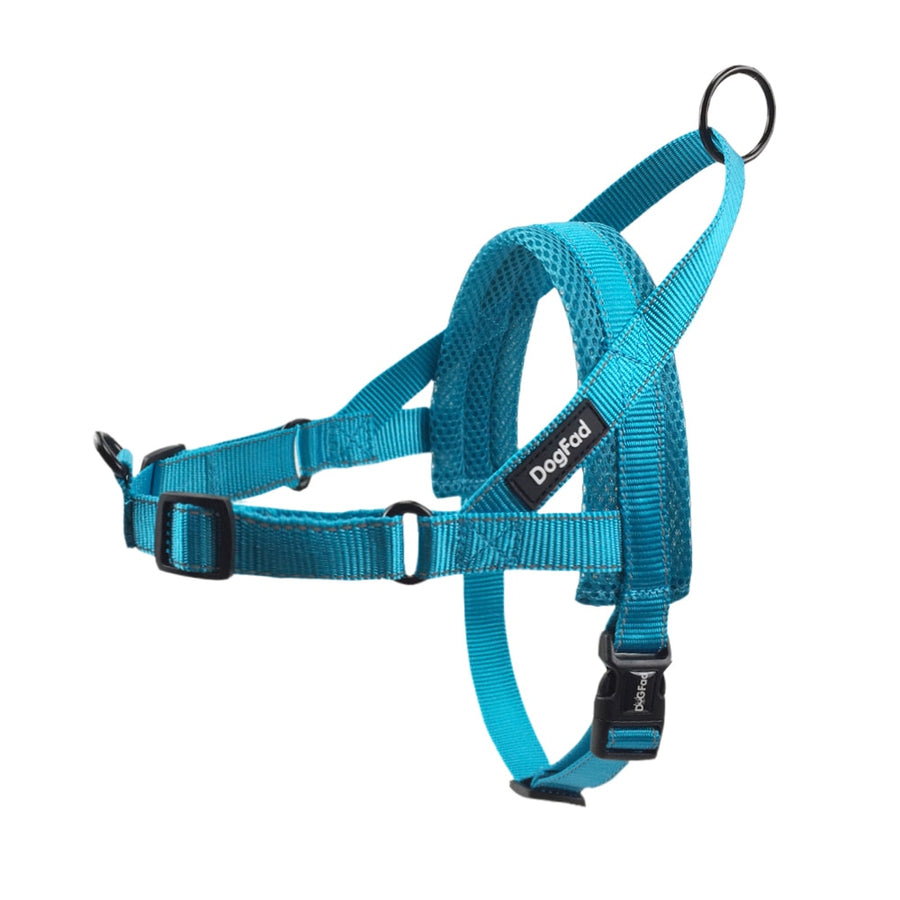 Reflective Blue Dog Harness