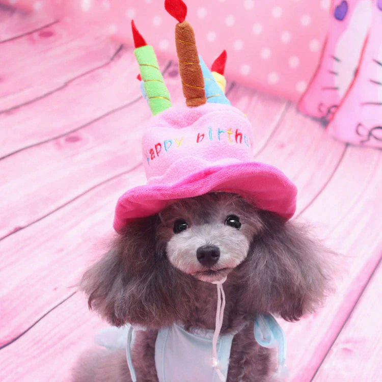 Cute Pets Birthday Hat