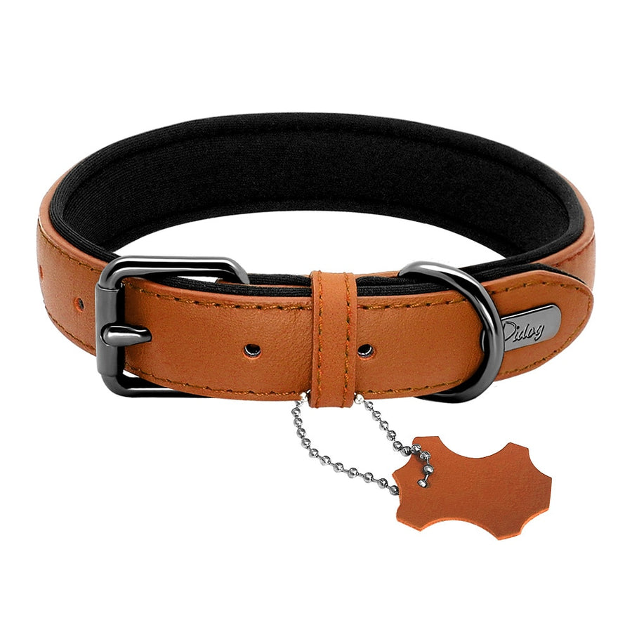 Genuine Leather Padded Dog Collar