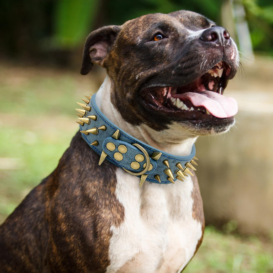 Pitbull Spiked Studded Dog Collar