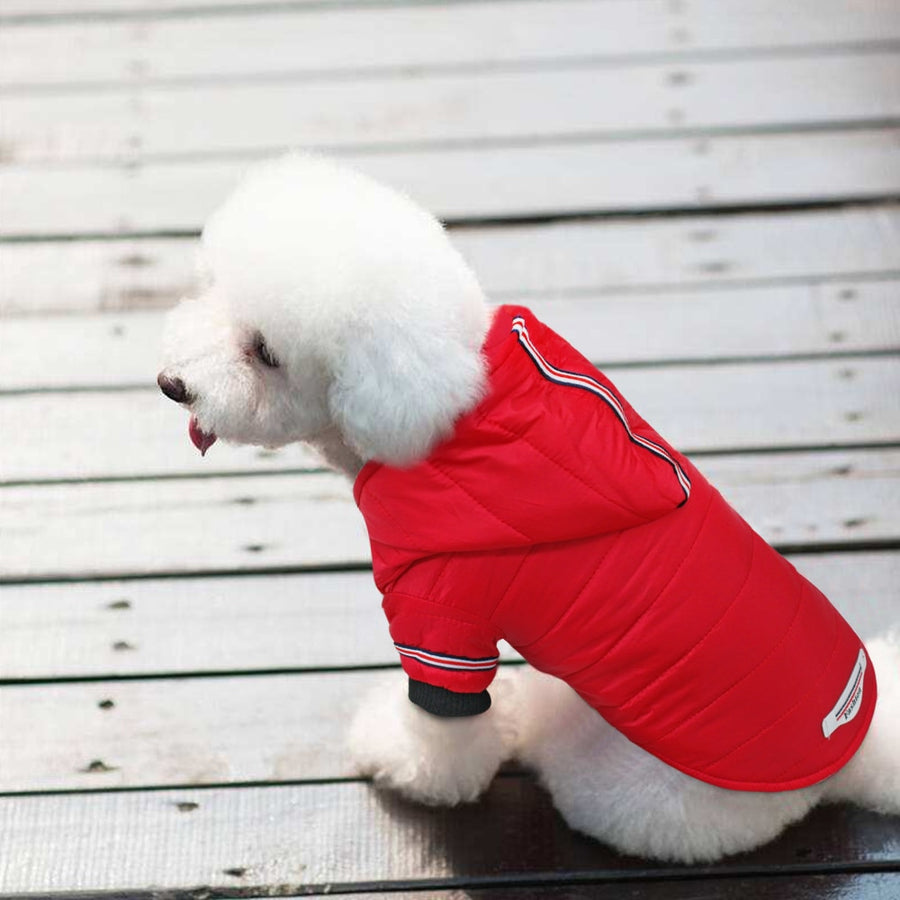 Winter Warm Dog Red Hoodies