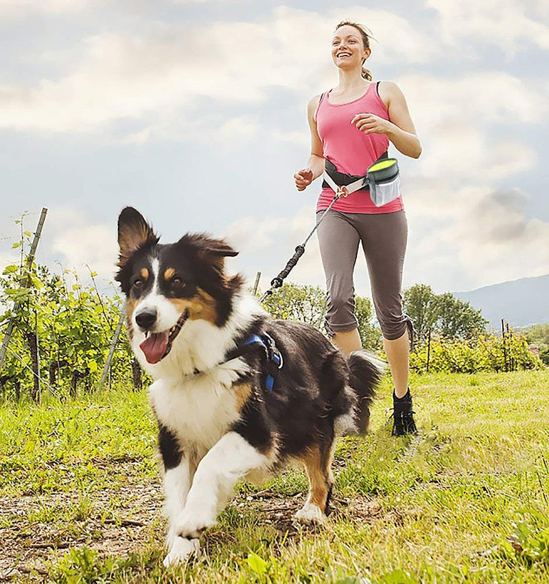 Extended Inner Dog Treat Bag