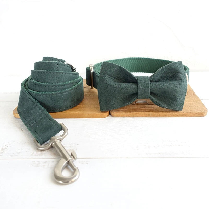 The Green Day Luxury Dog Collar Set