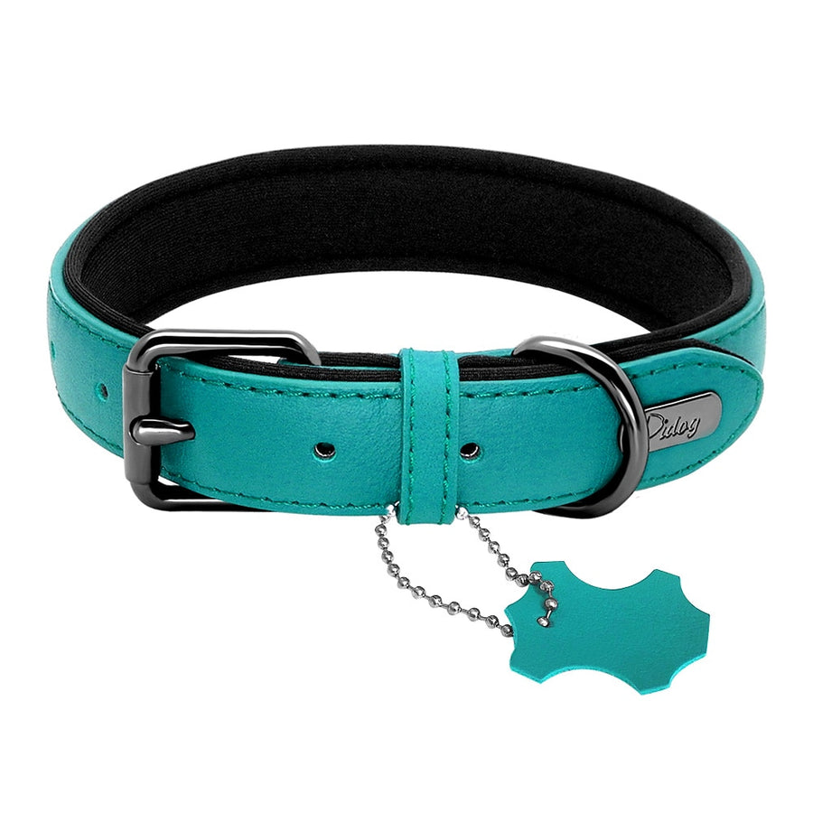 Genuine Leather Padded Dog Collar