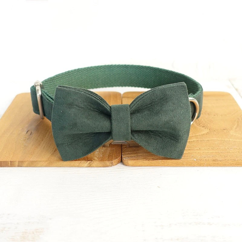 The Green Day Luxury Dog Collar Set