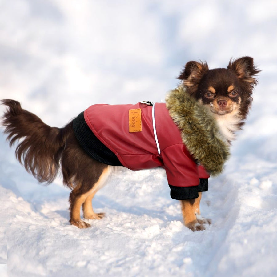 Soft Red Leather Winter Dog Coat