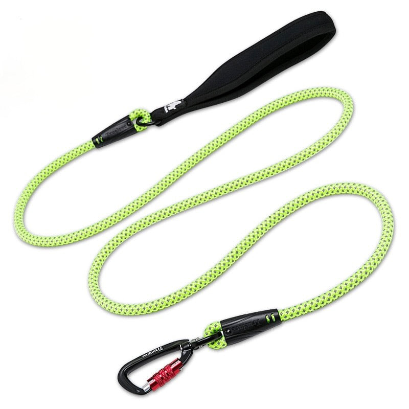 Reflective Aluminum Alloy D-Ring Dog Leash