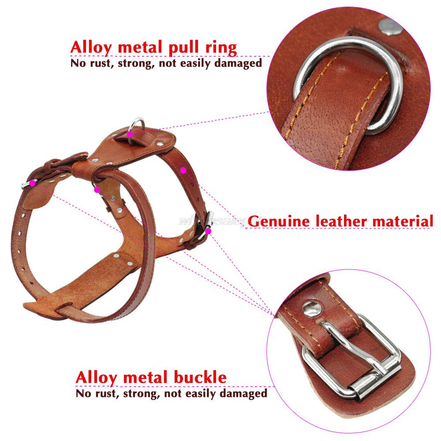 Large Pitbull Leather Dog Harness