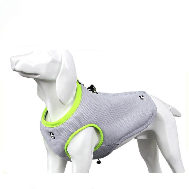 Summer Dog Cooling Vest And Harness