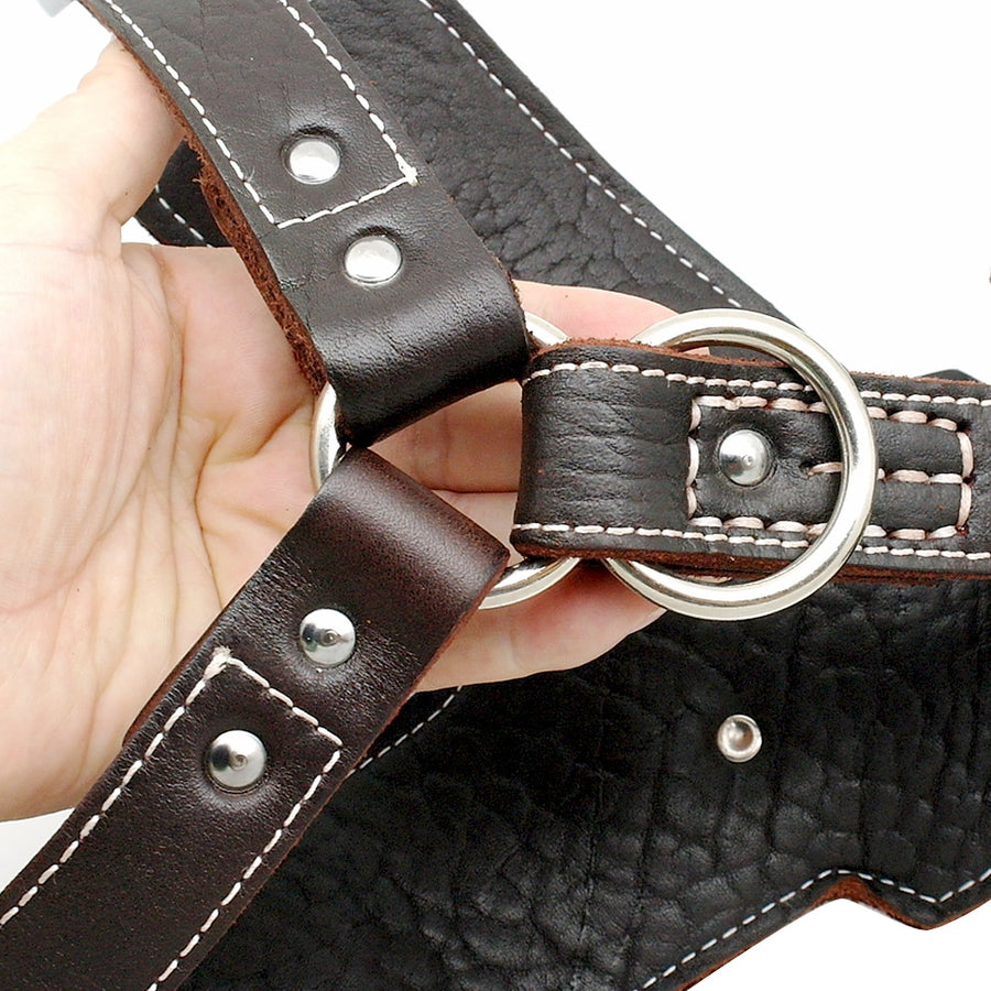 Genuine Leather Large Dogs Harness