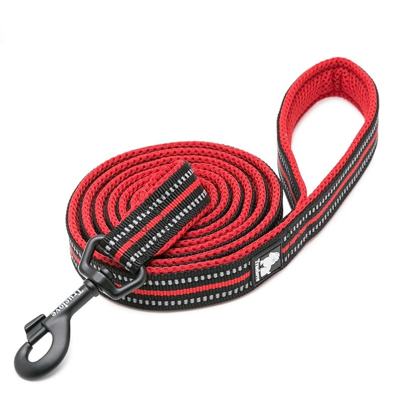 Reflective Nylon Soft Padded Dog Leash