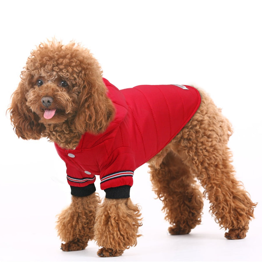 Winter Warm Dog Red Hoodies