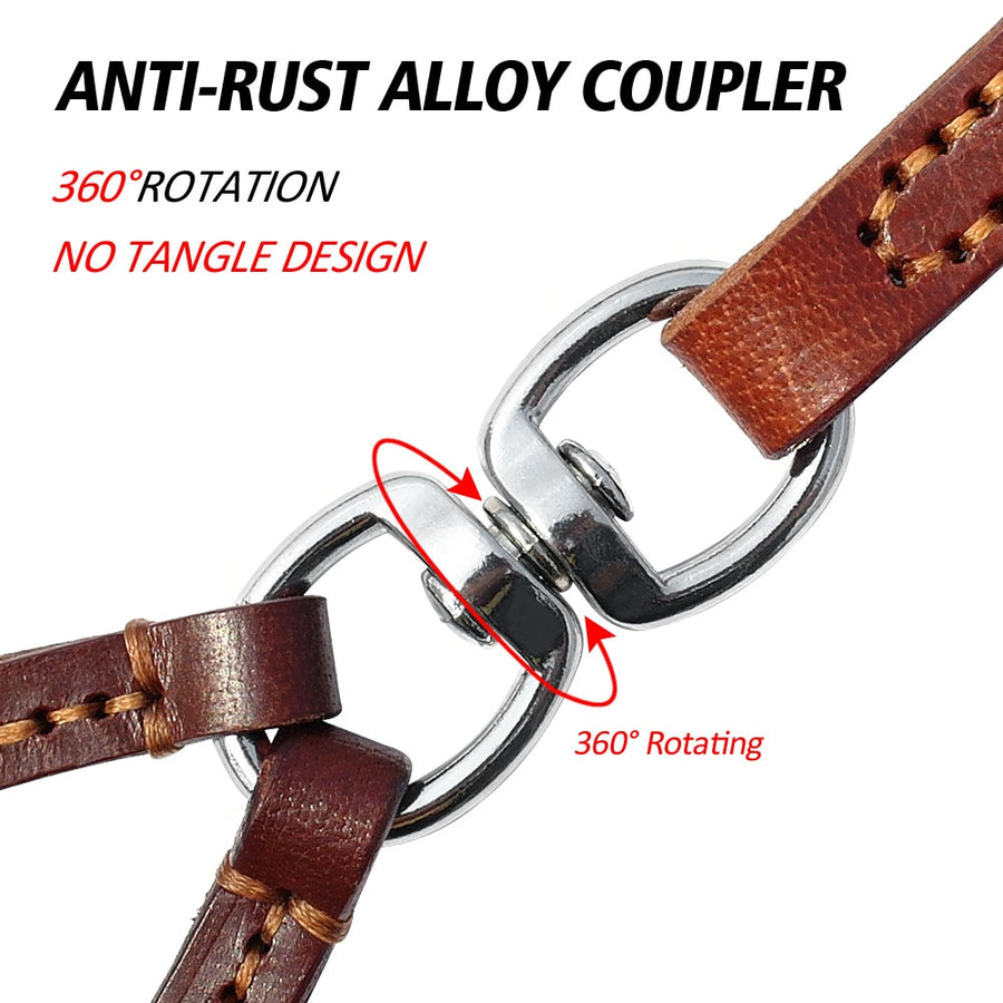 2 Ways Leather Dog Leash