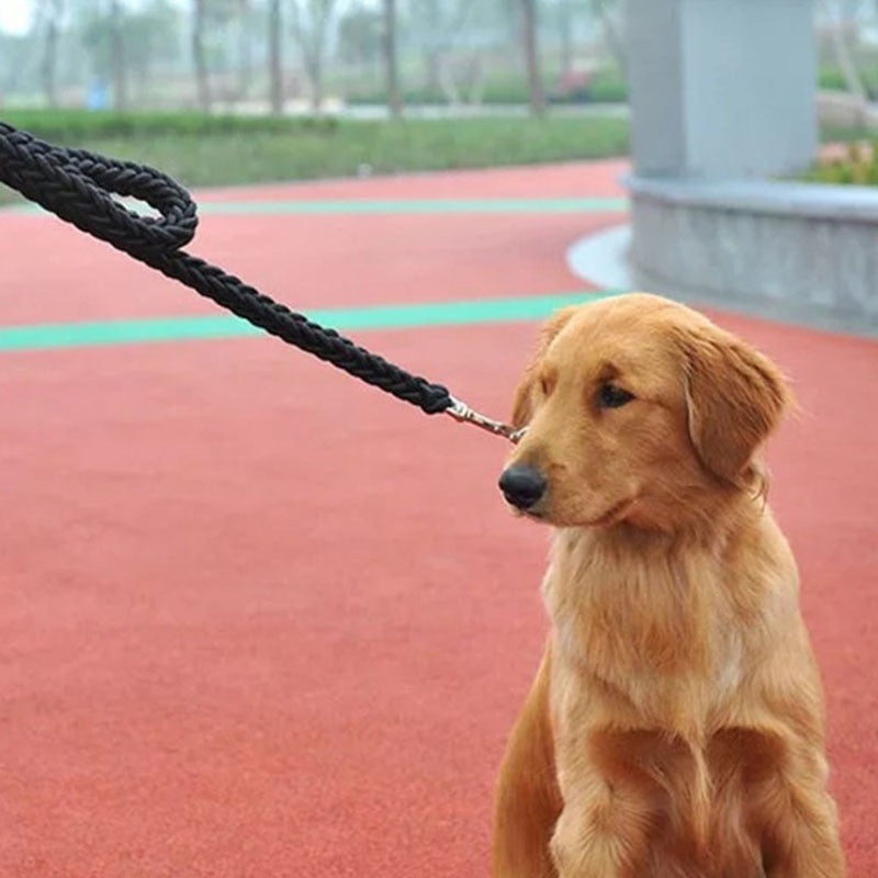 Super Strong Army Green Dog Leash