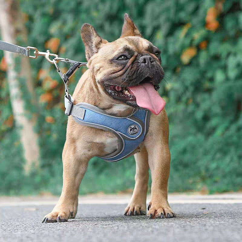 No Pull Pet Harness Vest