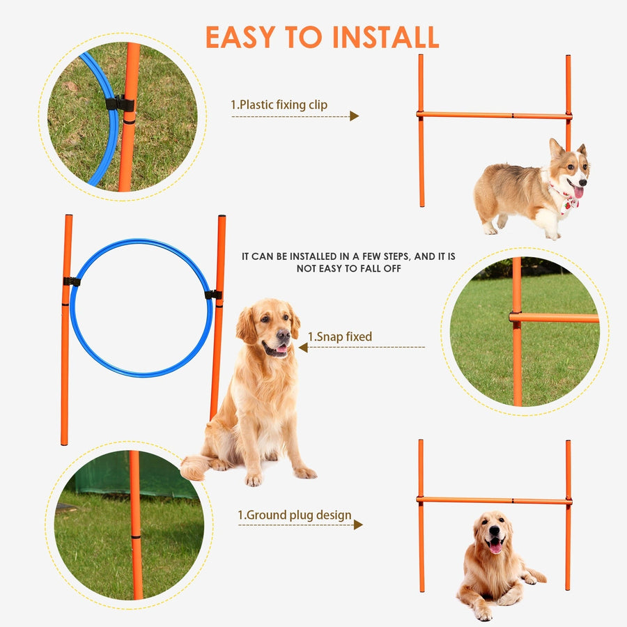 Dog Agility Training Equipment Set