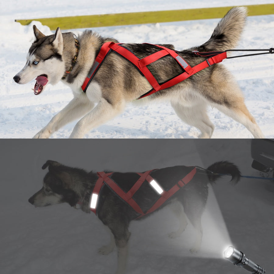 Waterproof Dog Sled Harness