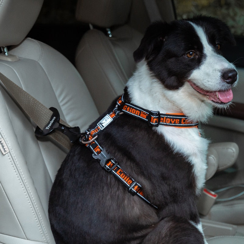 Vehicle Car Pet Seat Belt Lock