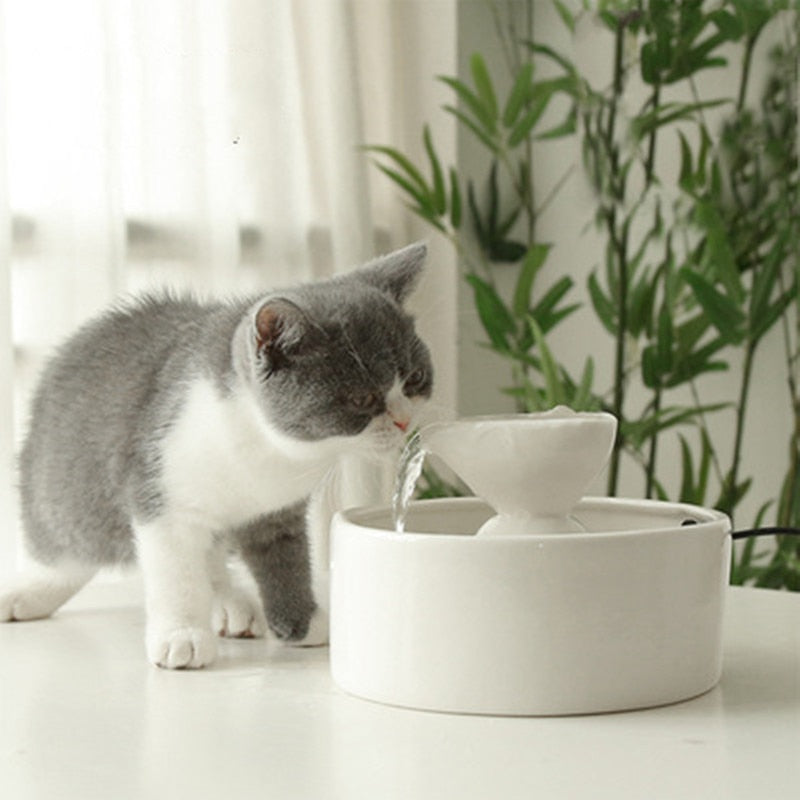 1L Premium Pet Water Fountain