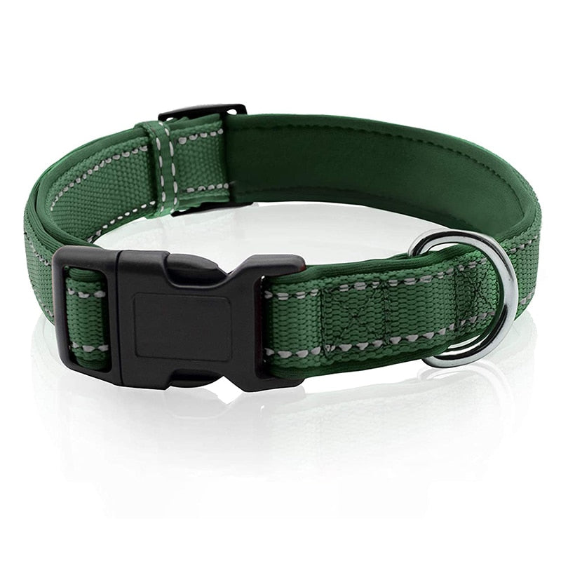 Neoprene Padded Solid Dog Collar