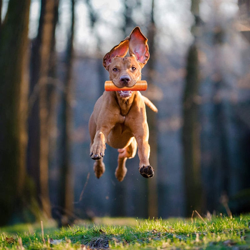 Floatable Bouncy Dog Bone Stick