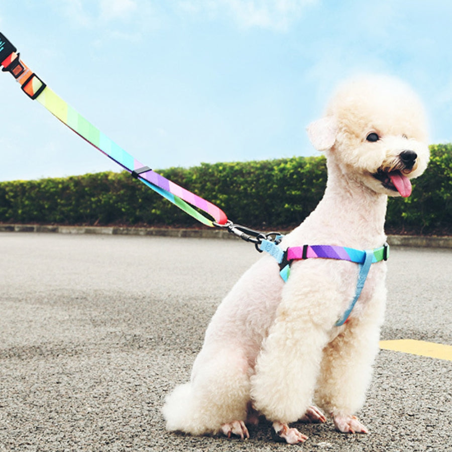 2 In 1 Purpose Dog Leash