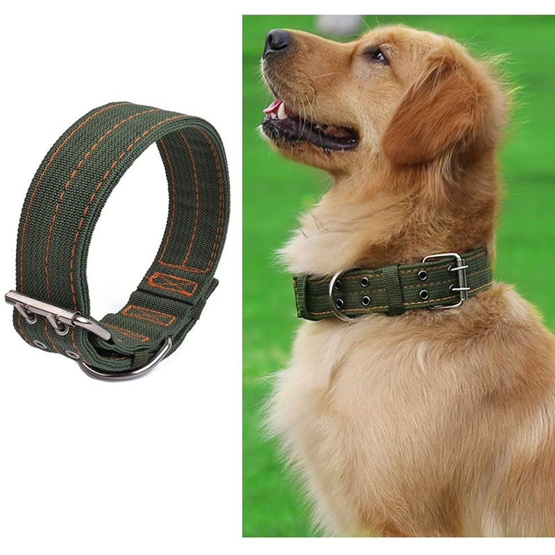 2 Row Metal Buckle Tactical Dog Collar