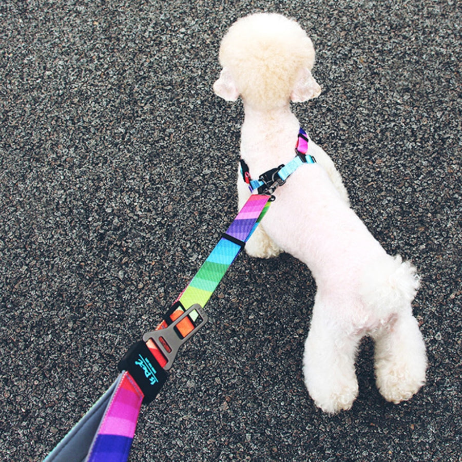 2 In 1 Purpose Dog Leash