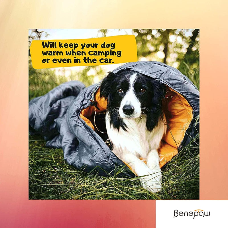 Waterproof Cozy Dog Sleeping Bags