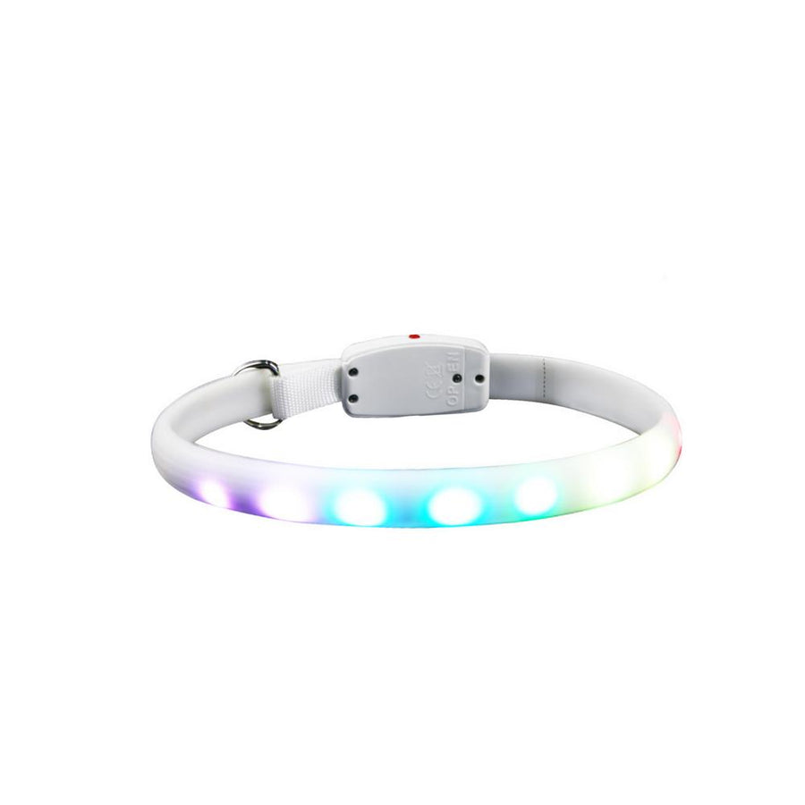 LED Luminous USB Dog Collar