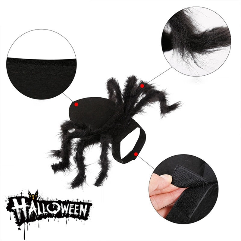 Halloween Black Spider Pet Costume